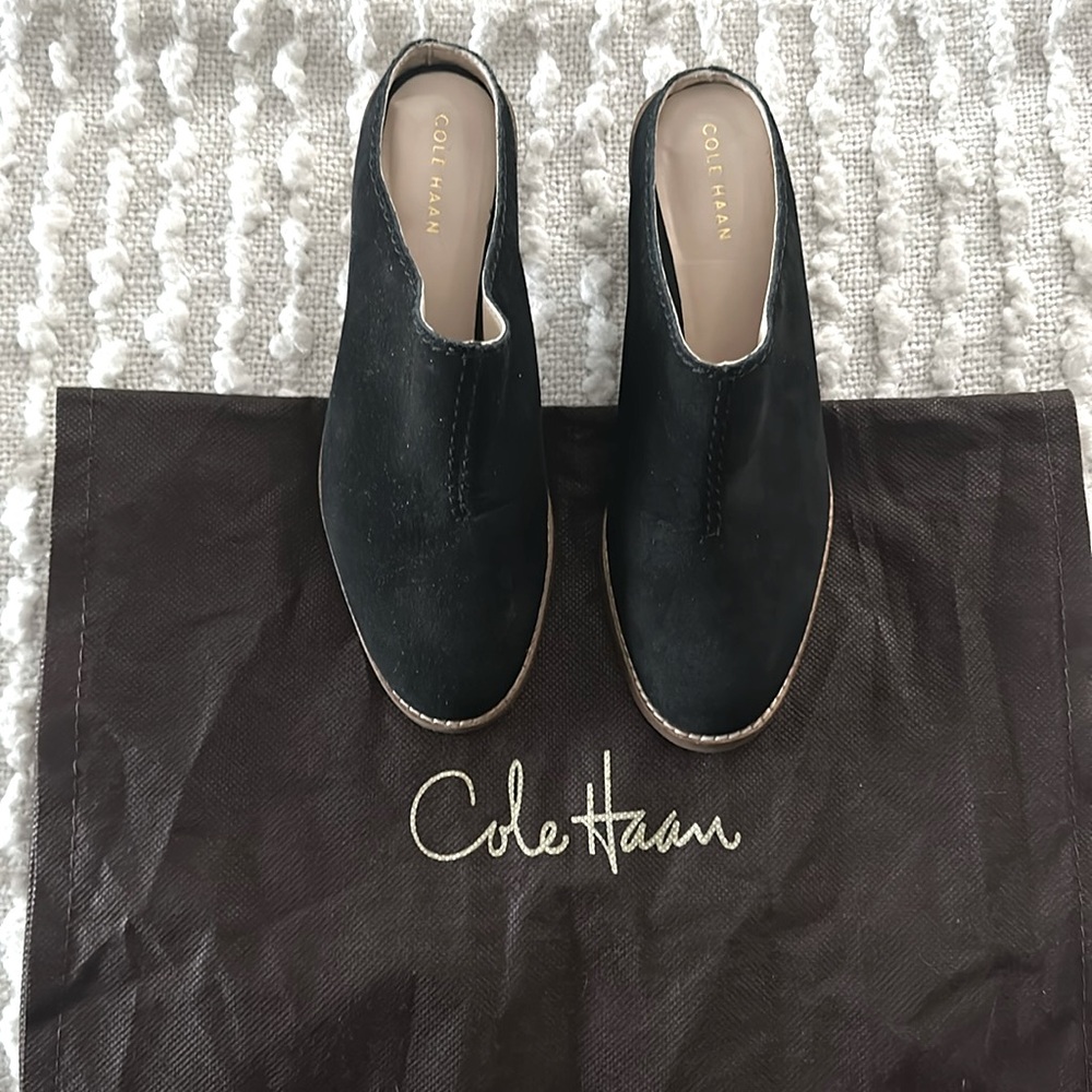 Suede Cole Haan Mules